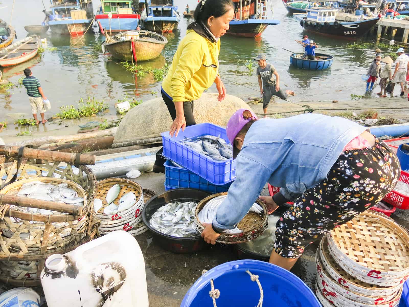 Hoi An fish market